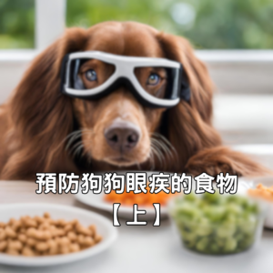 預防狗狗眼疾的食物【上】