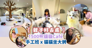 [ 親子好去處 ] 1500呎貓貓Café 手工班 x 貓貓坐大髀