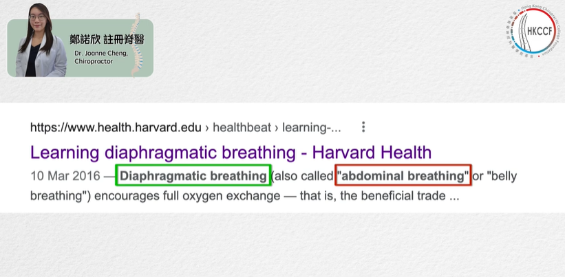 什麼是橫膈膜呼吸