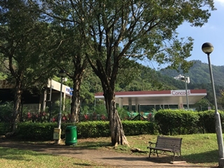 新界區狗公園