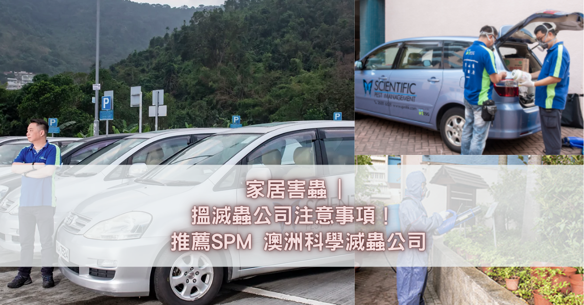 家居害蟲 搵滅蟲公司注意事項！ 推薦SPM 澳洲科學滅蟲公司