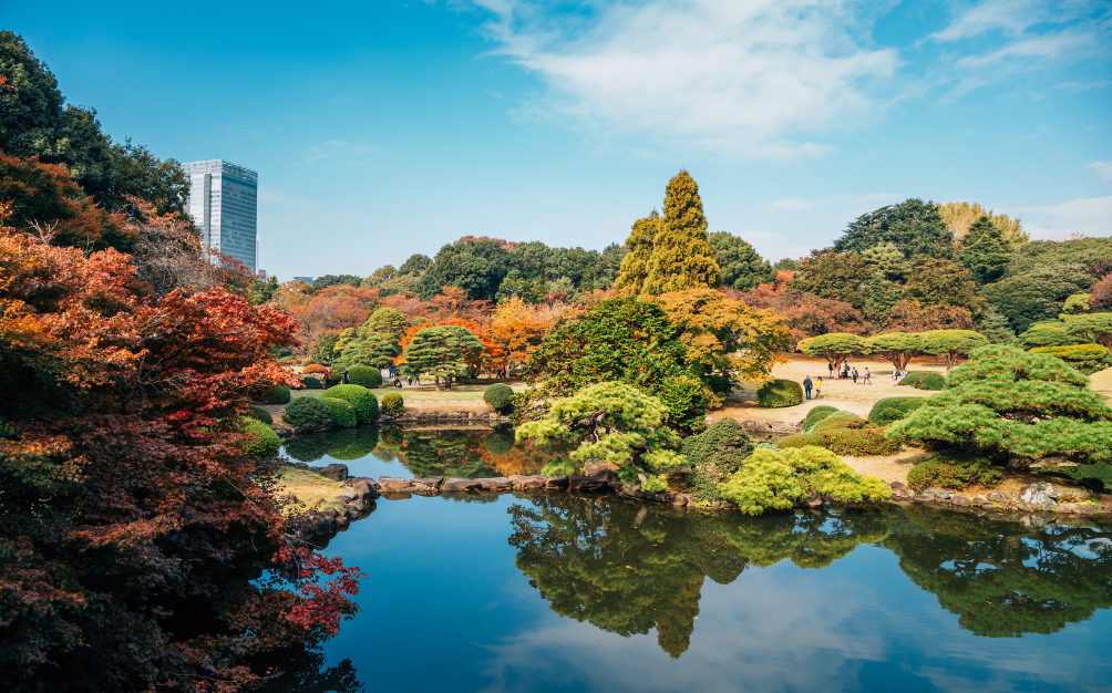 日本紅葉季2024｜2024日本紅葉最佳觀賞時間預測！10大人氣賞楓地點 北海道最先轉紅？ (2)