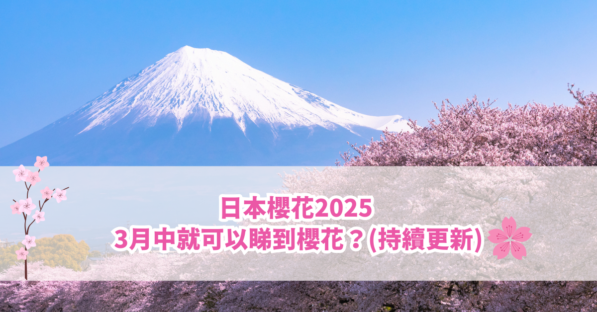 日本櫻花2025 | 3月中就可以睇到櫻花？(持續更新)