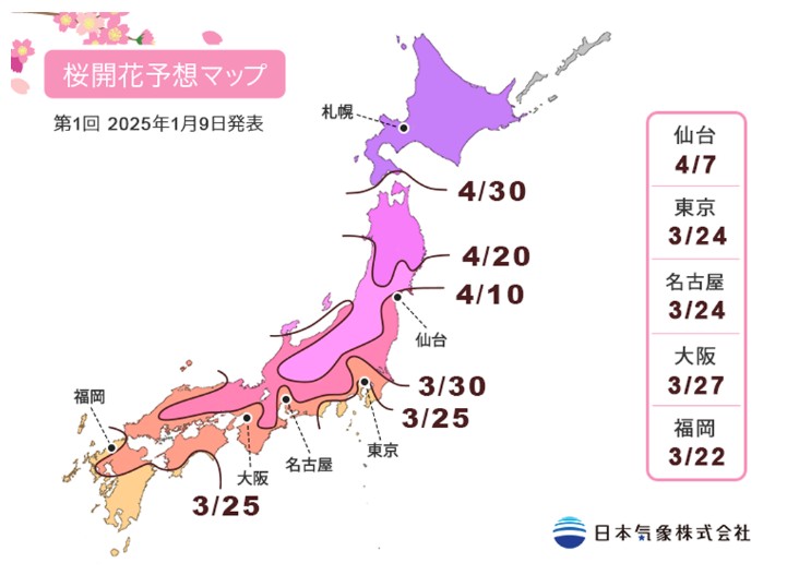 日本櫻花2025