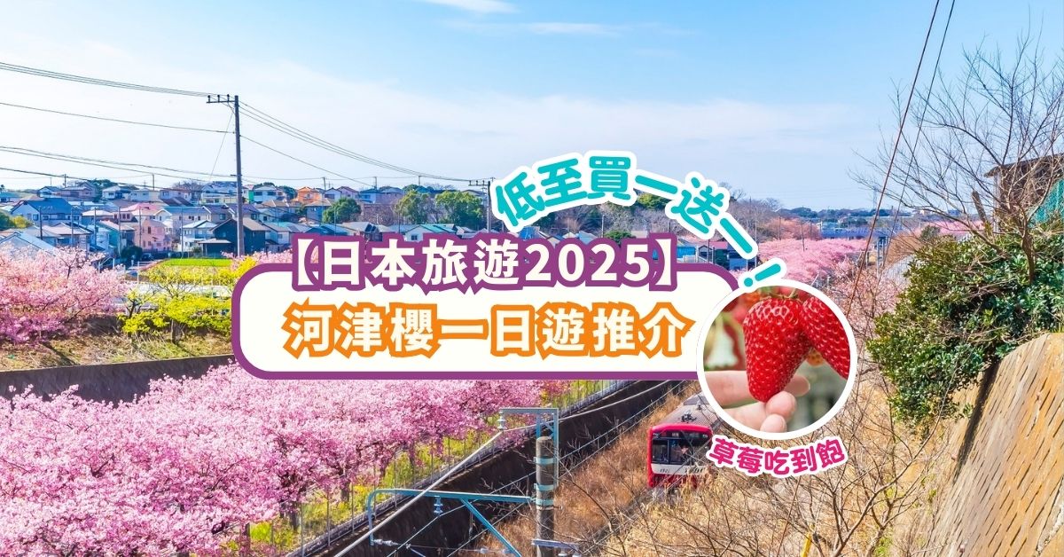 【日本旅遊2025】河津櫻一日遊推介，低至買一送一 | 河津櫻花祭門票